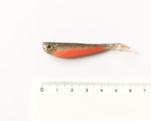 rybicka-LIVE-TAIL-1-6,5cm